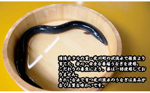 北川鰻の白焼きセット　C217