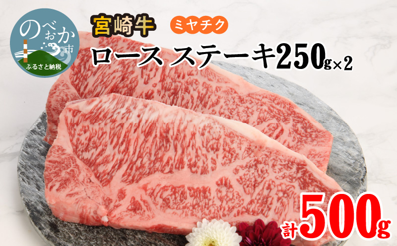 宮崎牛 ロース ステーキ 250g×2 計500g B039 - ふるさとパレット ～東急グループのふるさと納税～