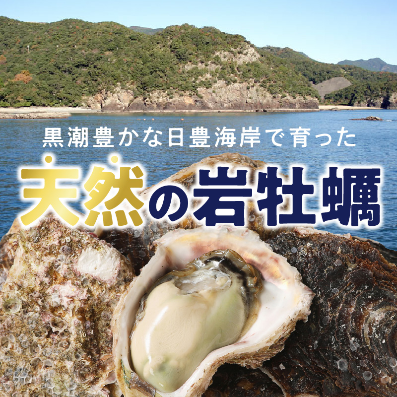 天然岩牡蠣 お試しセット (大・中・小サイズ) 各2個　N036-A0382