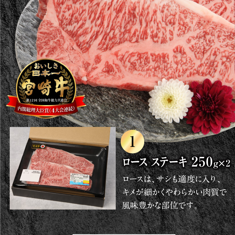 宮崎牛 ロース ステーキ 250g×2 宮崎県産和牛小間切れ 100g×2 計700g　N0147‐B813