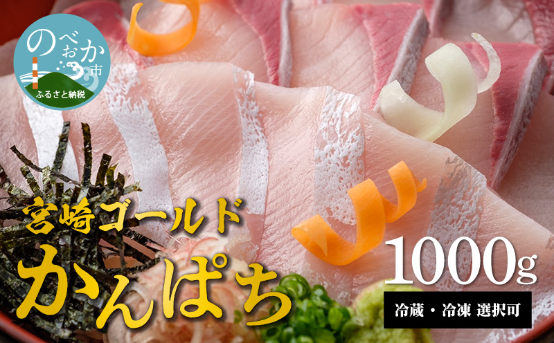 宮崎産 新海屋 鰤屋金太郎 宮崎ゴールドカンパチ 1000g　冷凍　N018-ZA941_2