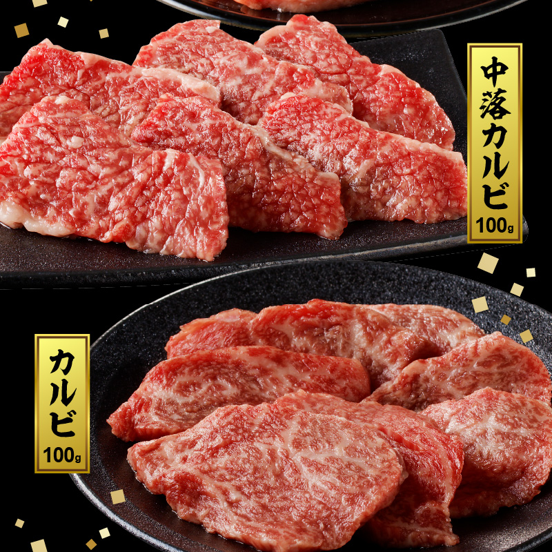 宮崎牛焼肉食べ比べ6種盛600g N0140-YZB237