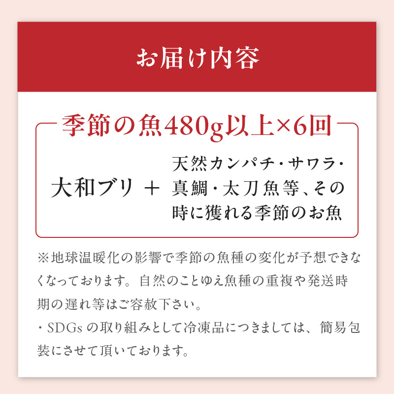 【6ヶ月定期便】大和海商 こだわり漁師のお刺身　6人前　N072-E080