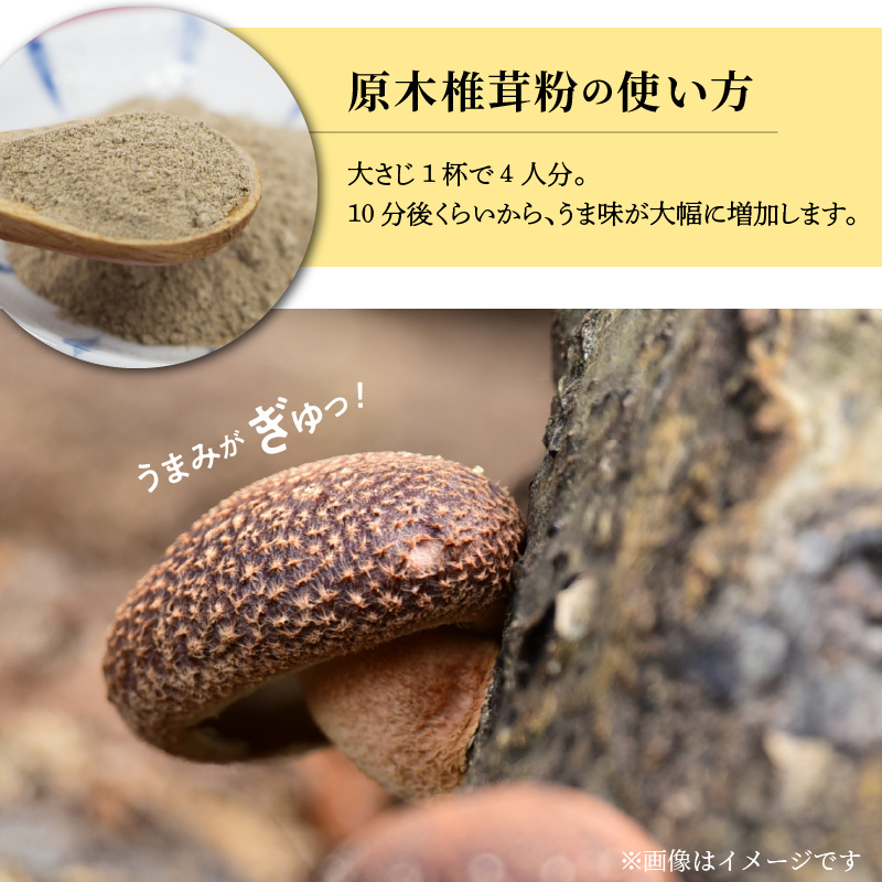 天然 うま味調味料 九州産 原木椎茸 粉 40g　A0190