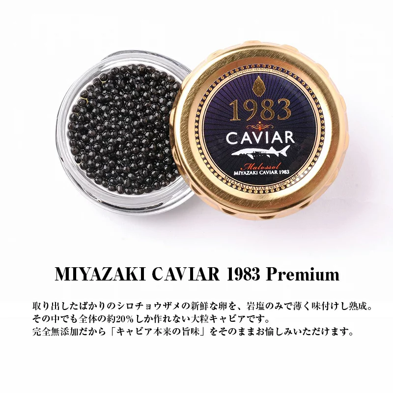 MIYAZAKI CAVIAR 1983 Premium 20g　D086