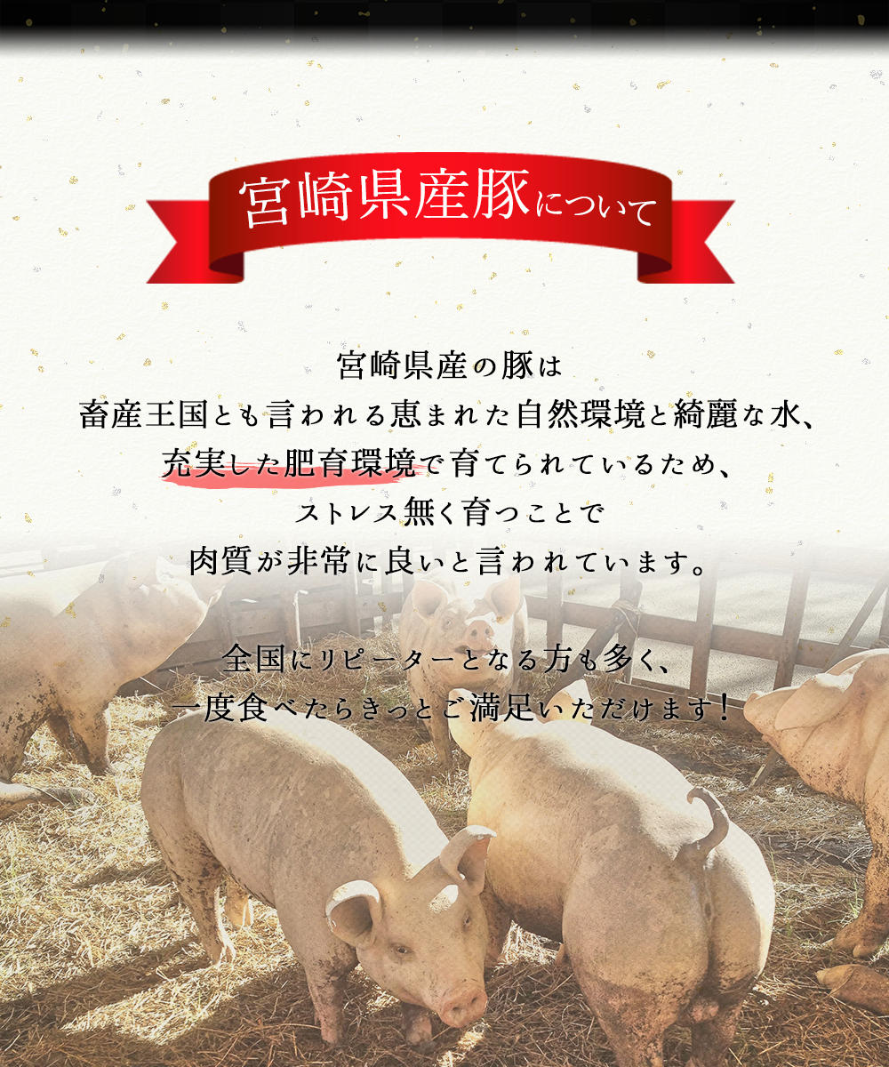 宮崎県産豚ロースしゃぶしゃぶ用 3kg 6回定期便　B614