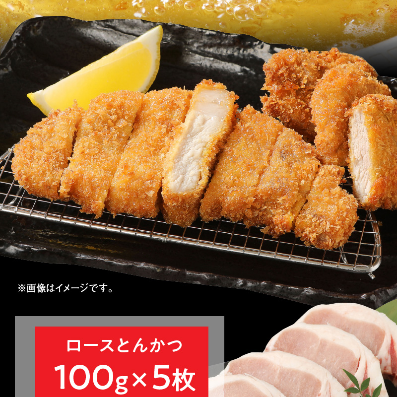 宮崎県産豚 ロースとんかつ 100g×5 ロースしゃぶ 500g ヒレとんかつ 400g　計1.4kg ミヤチク 国産　N0147‐A3327