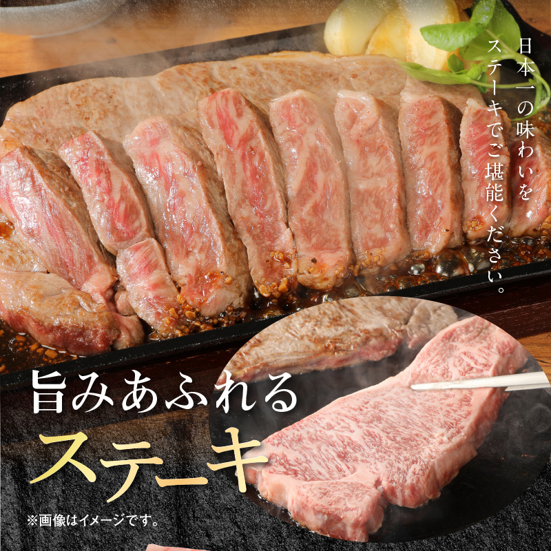 宮崎牛 ロース ステーキ 250g×2 計500g　N0147-YB426