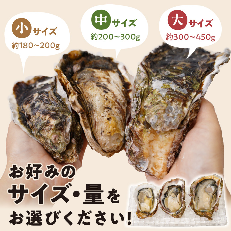 延岡産天然岩牡蠣（生食用）3kg（大）（2024年4月1日から発送開始）　N036-ZA527