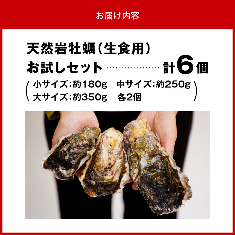 天然岩牡蠣 お試しセット (大・中・小サイズ) 各2個　N036-A0382