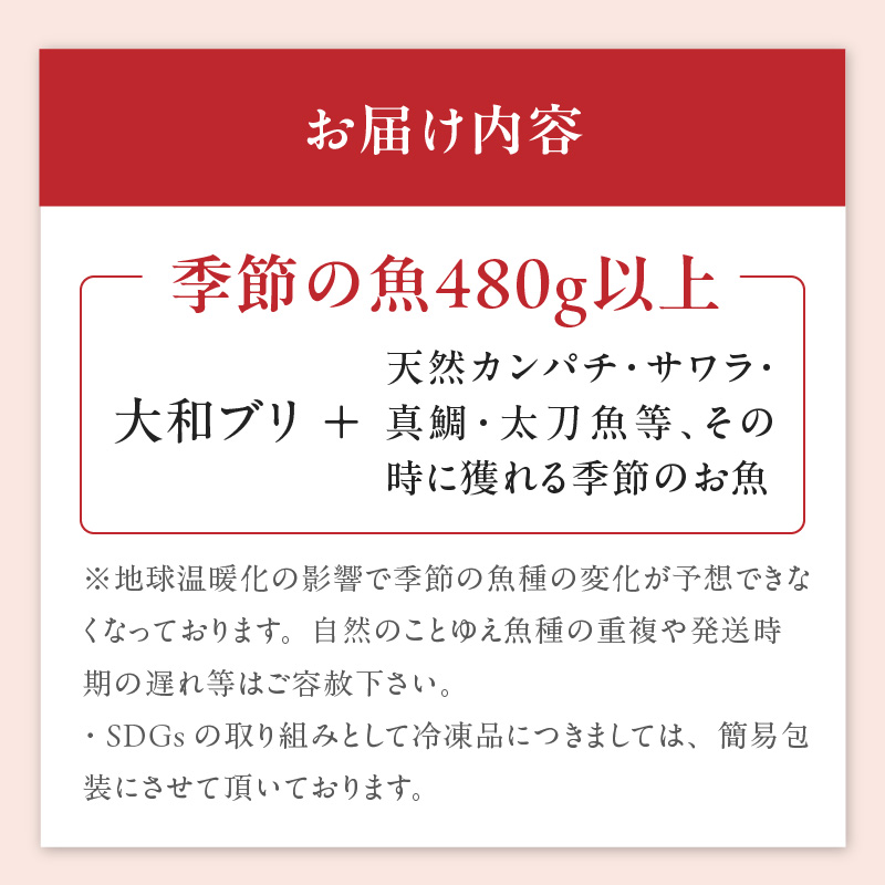 【単月お届け】大和海商　こだわり漁師のお刺身　6人前 　N072-A3332_1