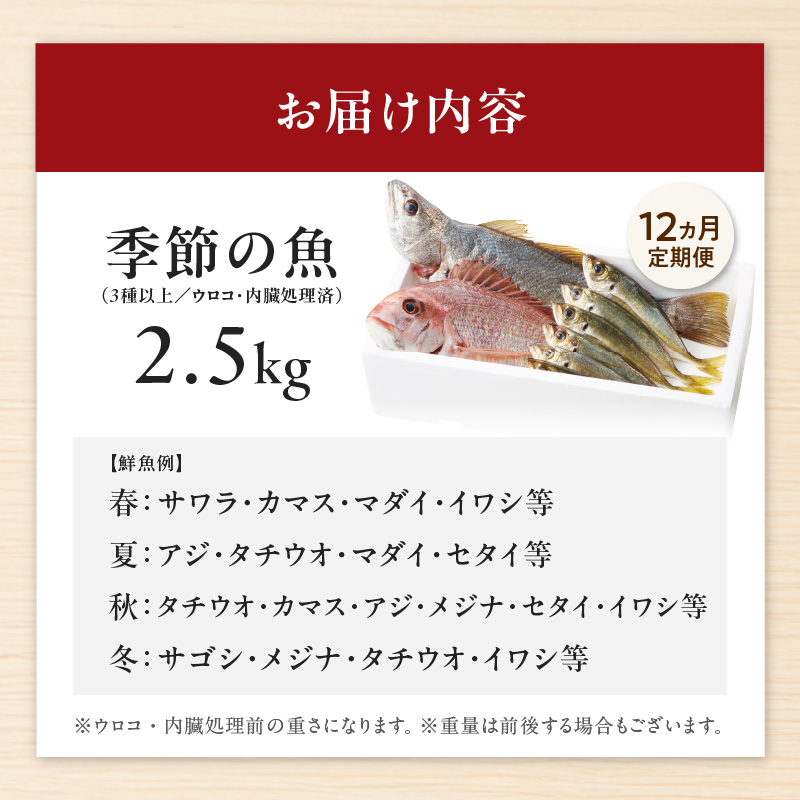 【12ヶ月定期便】大和海商の朝どれ鮮魚直送定期便2.5kg N072-YZG0141