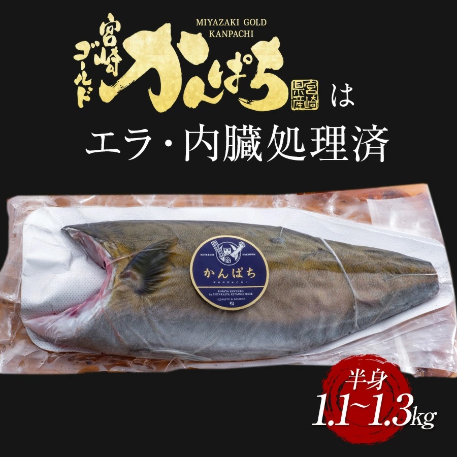 宮崎産 新海屋 鰤屋金太郎 宮崎ゴールドカンパチ フィレ 1.1kg〜1.3kg