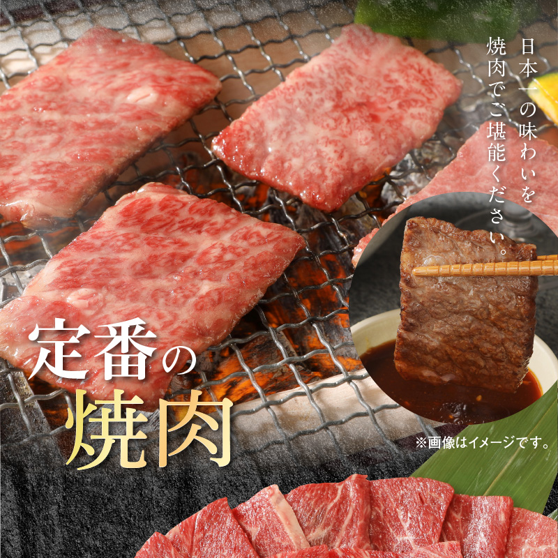 宮崎牛 ウデ 焼肉用 400g 宮崎県産和牛小間切れ 100g 計500g　N0147‐A3322