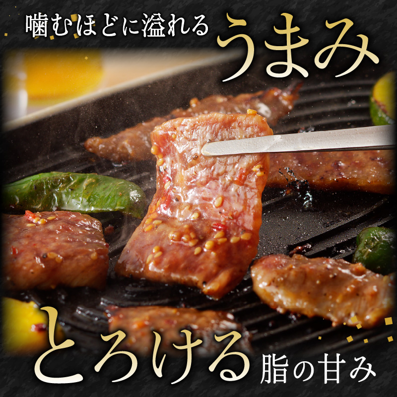 宮崎牛タレ漬け焼肉用　900g(450g×2)（A5等級）　B302