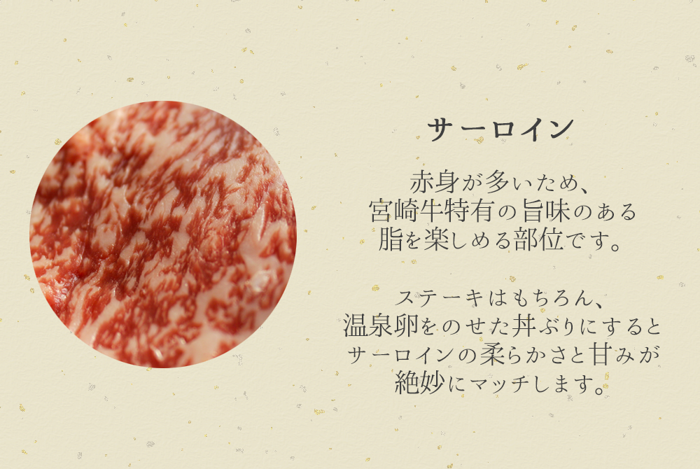 宮崎牛サーロインステーキ 2kg 5回定期便　G085