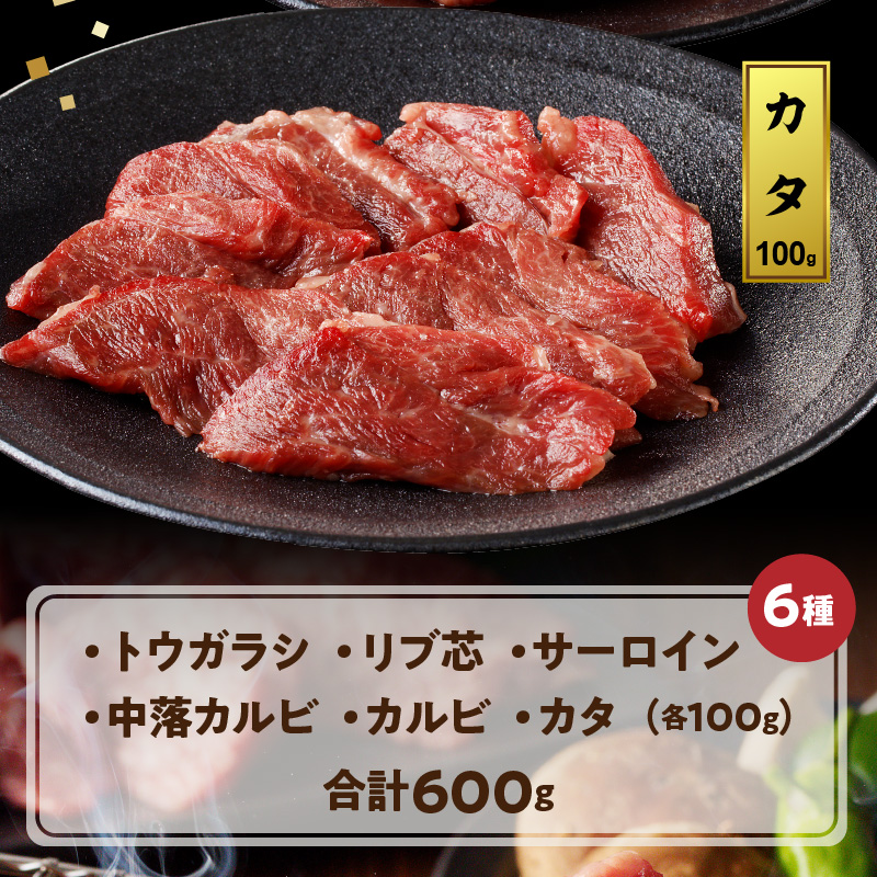 宮崎牛焼肉食べ比べ6種盛600g N0140-YZB237