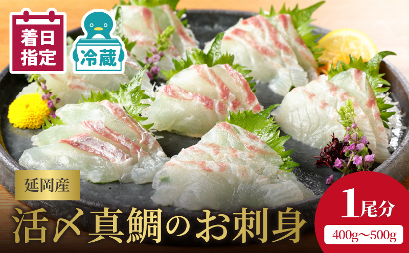 【日向灘どれ】延岡産活〆真鯛のお刺身 半身ロインパック × 2 1尾分 約400g〜500g N019-ZA572 請関水産