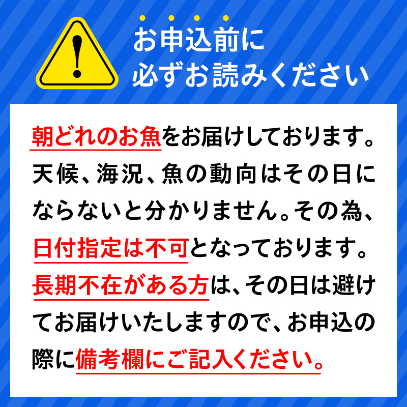 【6ヶ月定期便】大和海商 高級お刺身　6人前　冷蔵　N072-F057_1