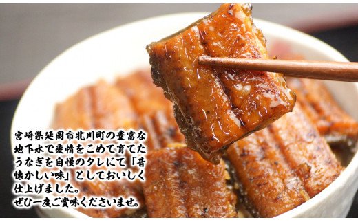 【急速冷凍】北川鰻の白焼きセット　C218