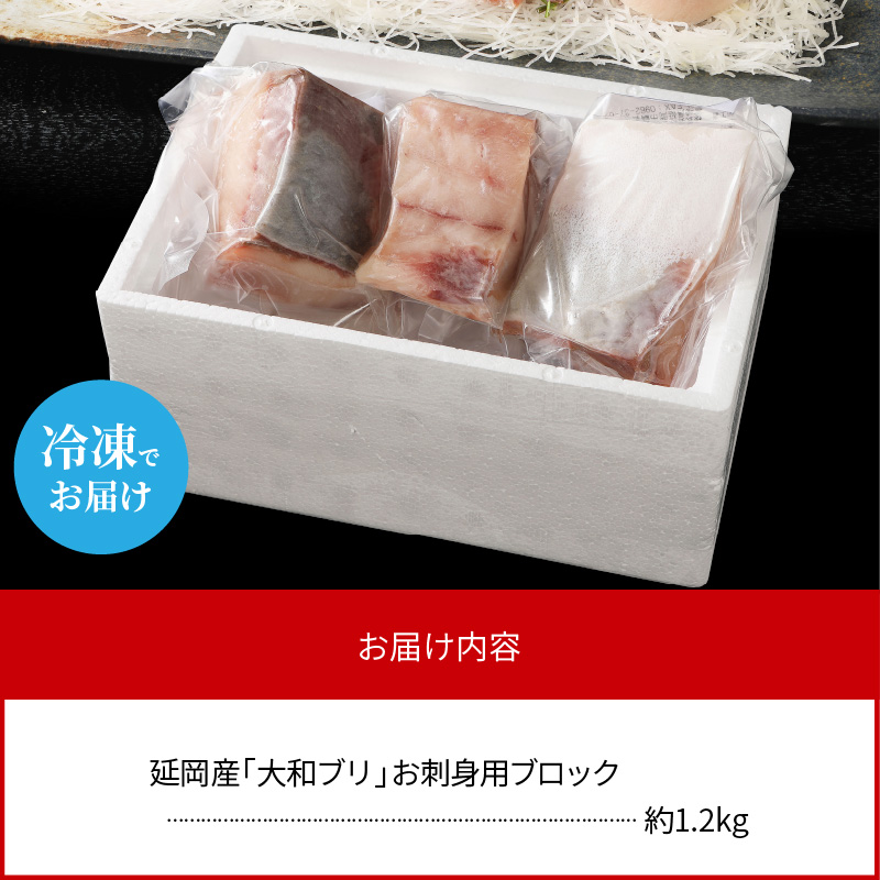 【大和海商】大和ﾌﾞﾘの切り身たっぷりｾｯﾄ約1.2kg N072-YA842