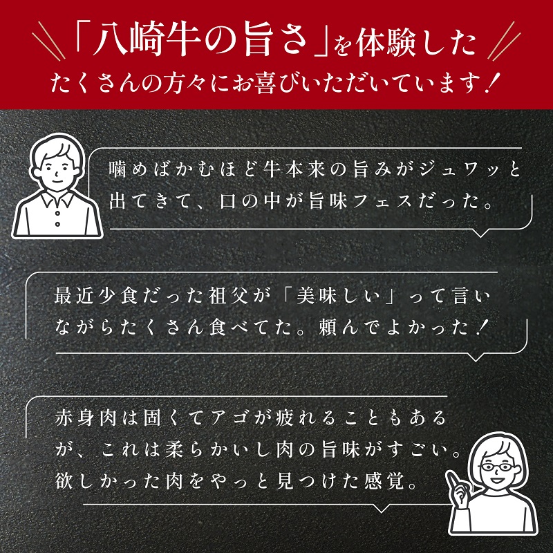 【贈答向け】八崎牛のハンバーグ120g×8個 N0105-YZB322