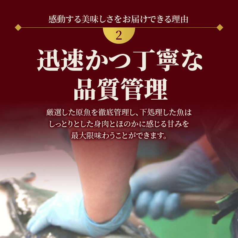 延岡産活〆鮮魚　職人技の脱血鮮魚　シマアジ　B419　請関水産