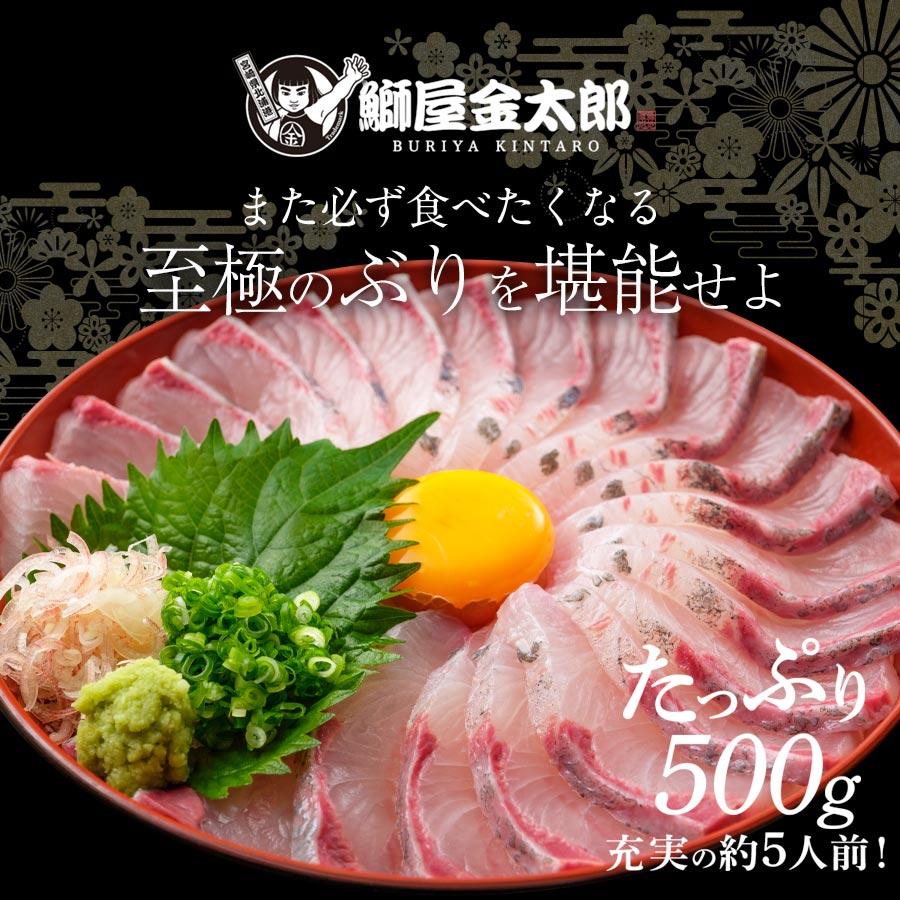 宮崎産 新海屋 鰤屋金太郎 金太郎ぶり 500g　冷凍　N018-ZA0404_2