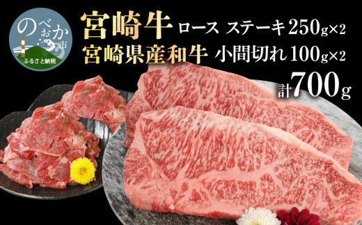 宮崎牛 ロース ステーキ 250g×2 宮崎県産和牛小間切れ 100g×2 計700g　N0147‐B813