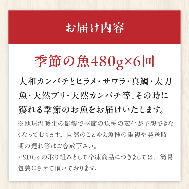 【6ヶ月定期便】大和海商 高級お刺身　6人前　冷蔵　N072-F057_1