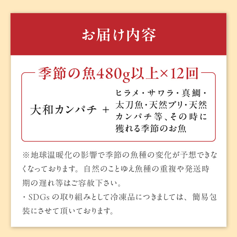 【12ヶ月定期便】大和海商　高級お刺身　6人前　冷蔵　N072-G0146_1