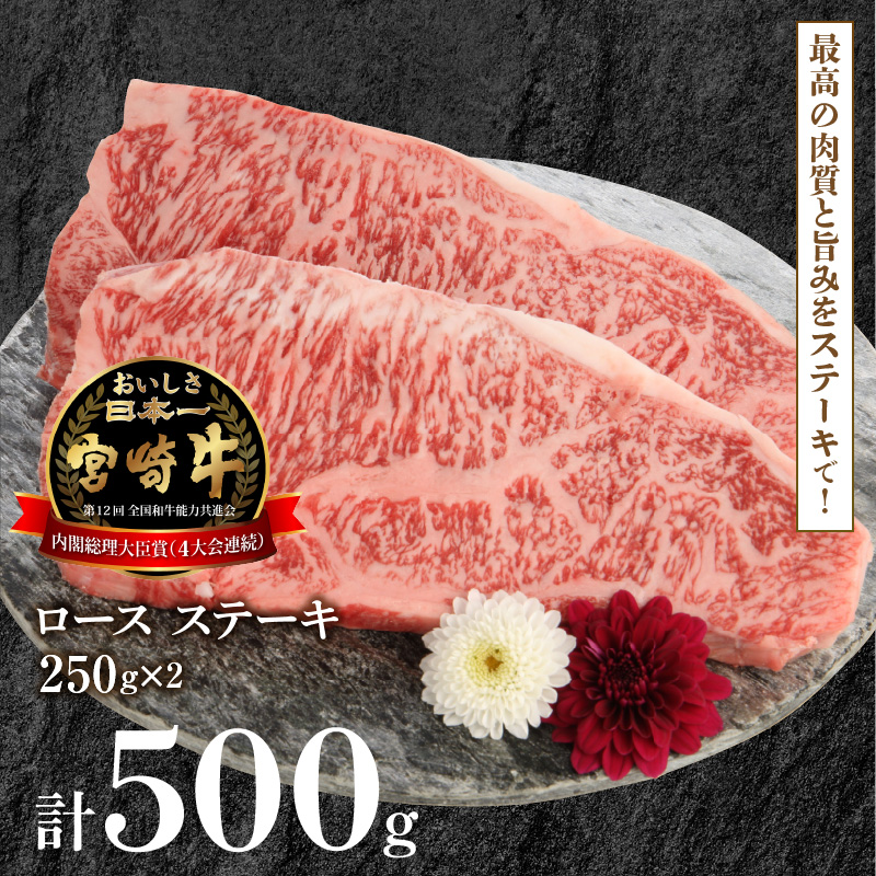 宮崎牛 ロース ステーキ 250g×2 計500g　N0147-YB426