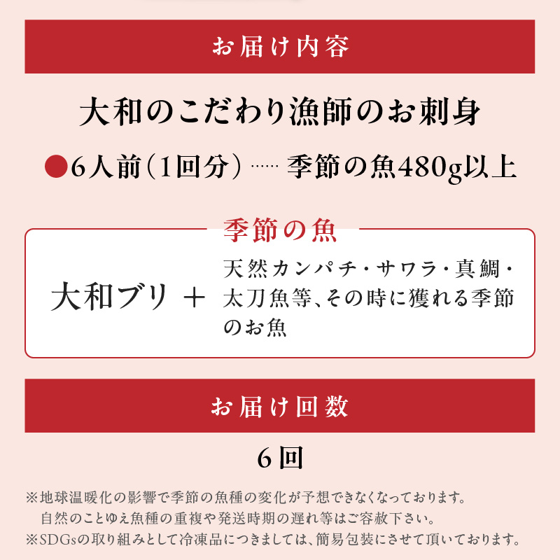 【6ヶ月定期便】大和海商 こだわり漁師のお刺身　6人前　N072-E080_2