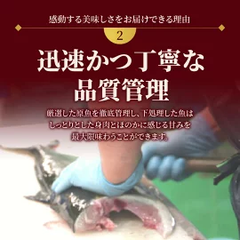 【日向灘どれ】延岡産活〆真鯛のお刺身 半身ロインパック × 2 1尾分 約400g〜500g N019-ZA572 請関水産