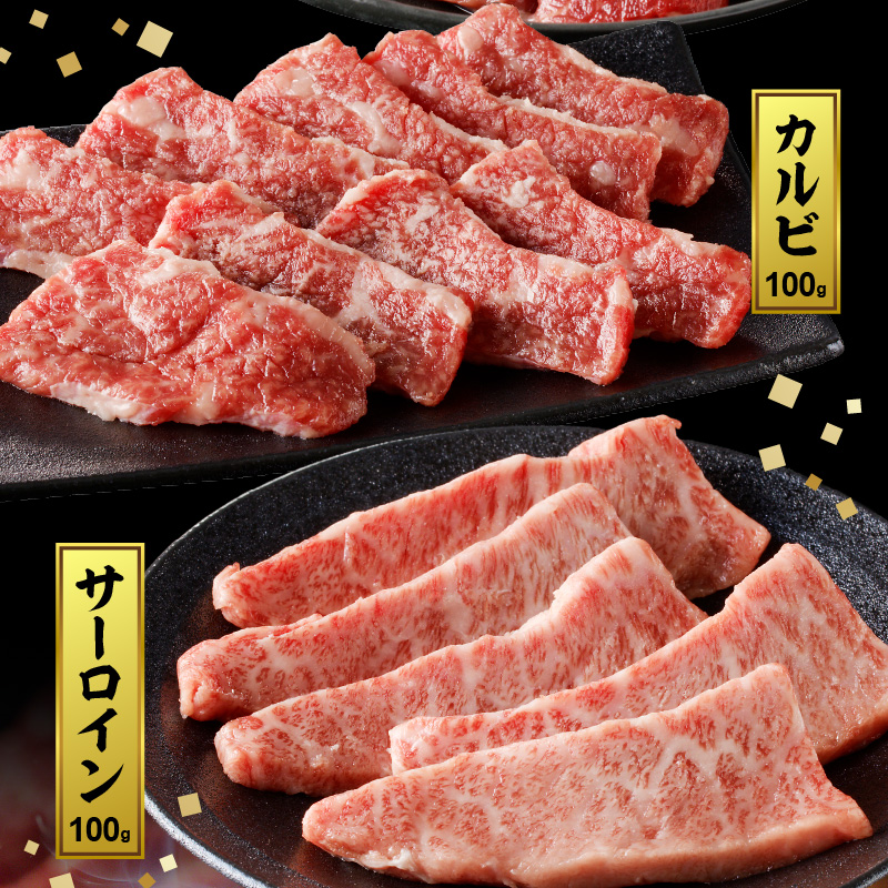 宮崎牛焼肉食べ比べ3種盛合計300g N0140-YA580