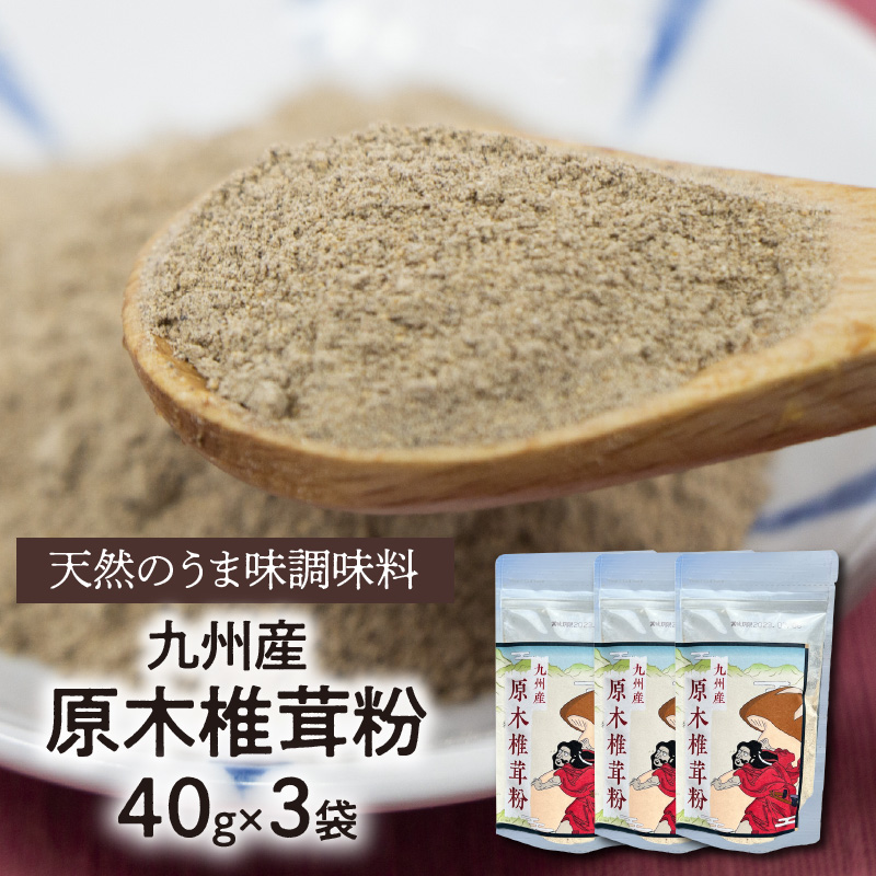 天然のうま味調味料「九州産原木椎茸粉」40g×3袋　A0189