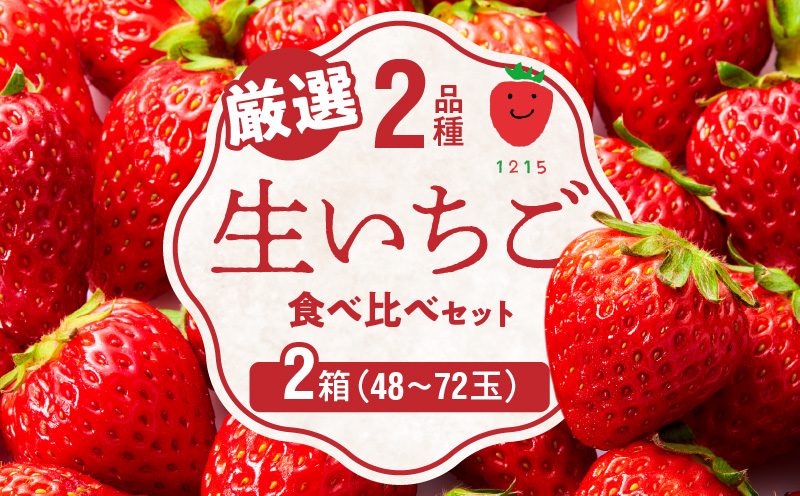 生いちご 厳選 2品種 食べ比べセット いちにのいちご園（2025年1月から発送開始）N085-YB531