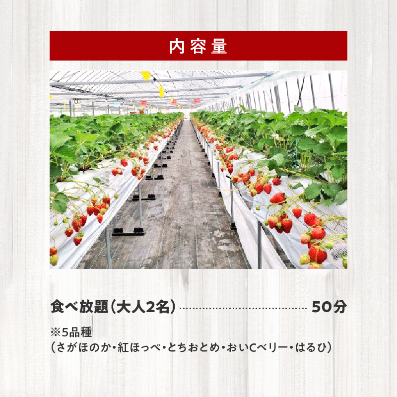 いちご狩り 5品種 食べ放題 50分 ペア入園券 いちにのいちご園　N085-YA839