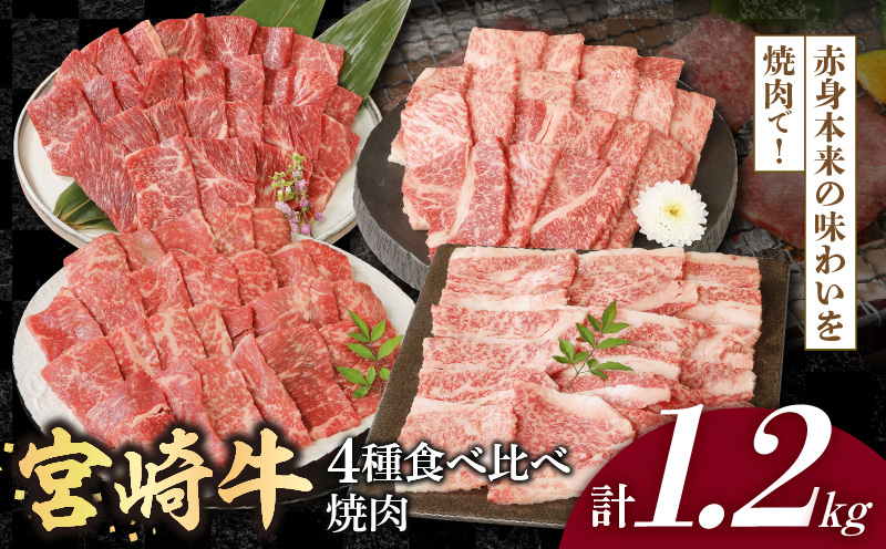 宮崎牛4種食べ比べ焼肉1.2kg N0147-B817