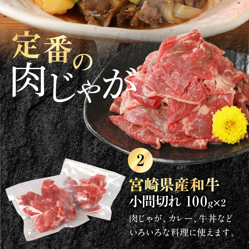 宮崎牛 ロース ステーキ 250g×2 宮崎県産和牛小間切れ 100g×2 計700g　N0147‐B813