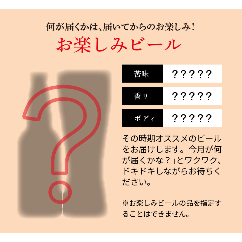 12ヶ月定期便 宮崎ひでじビールお楽しみ6本セット G061 - ふるさとパレット ～東急グループのふるさと納税～