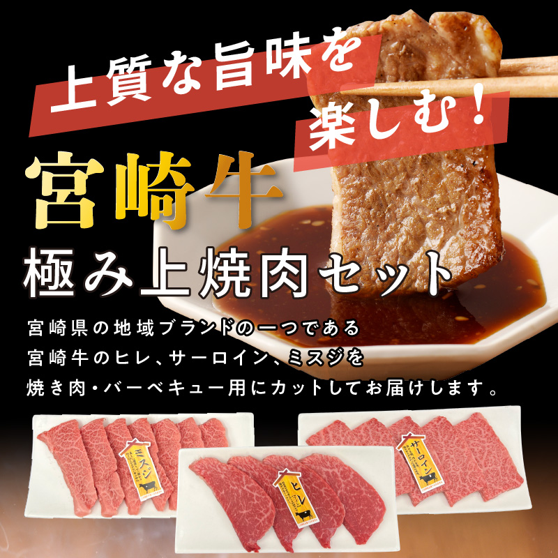 宮崎牛極み上焼肉セット 合計 300g　N0140-B083