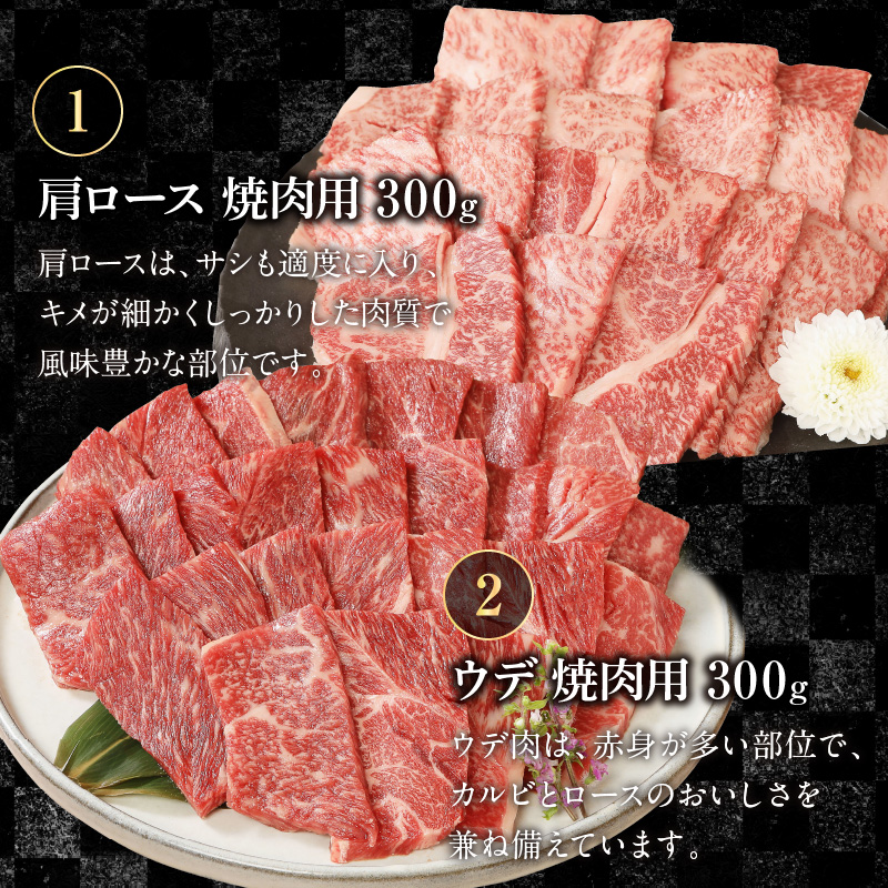 宮崎牛4種食べ比べ焼肉1.2kg N0147-B817