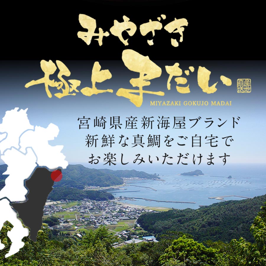 宮崎産 新海屋 鰤屋金太郎 みやざき極上まだい 500g　冷蔵　N018-ZA395_1