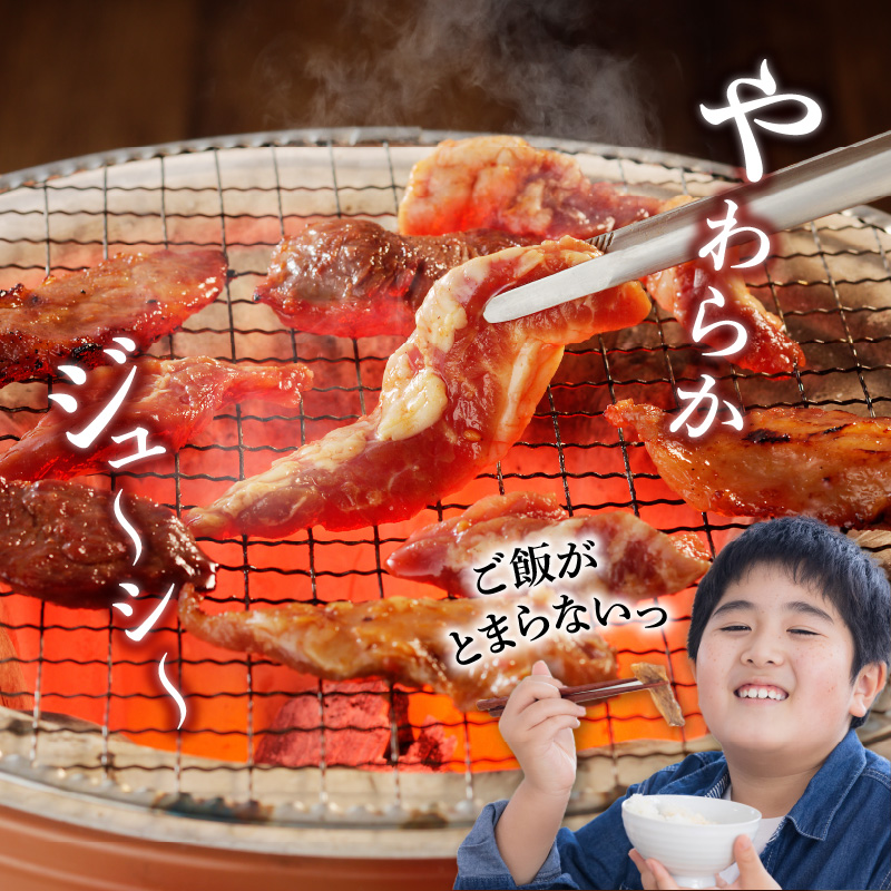 【宮崎産】豚ハラミ・サガリ タレ漬け 500g （3〜5人前）　A069