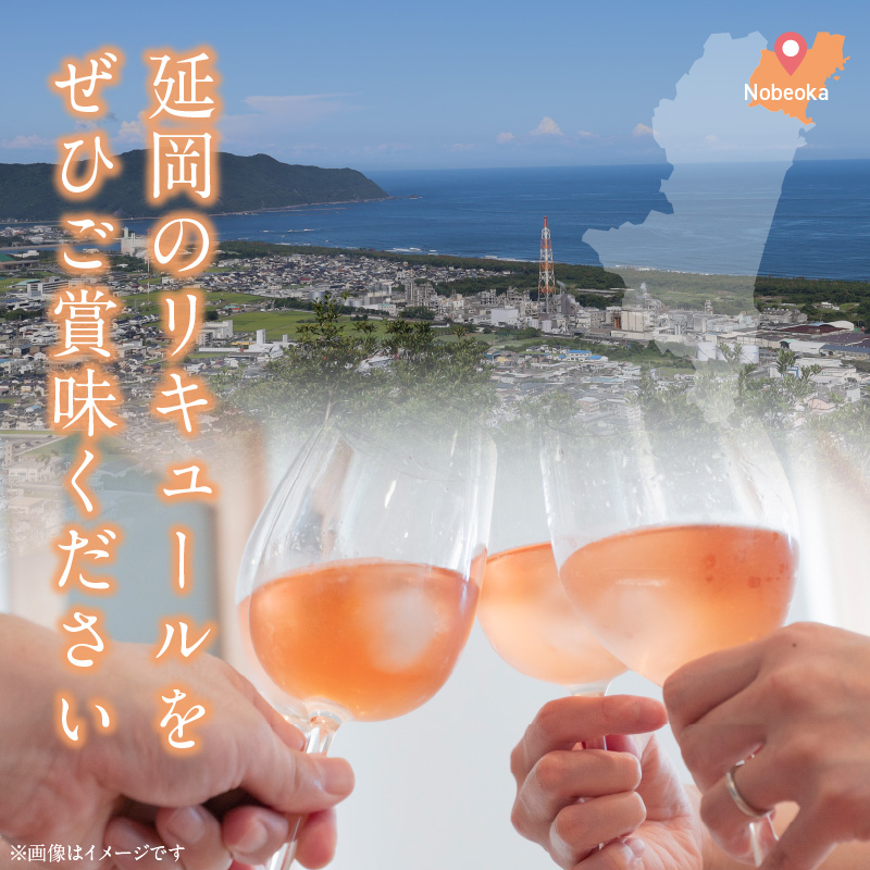 贅沢なリキュール(桃酒・栗酒)2本セット N076-YA597