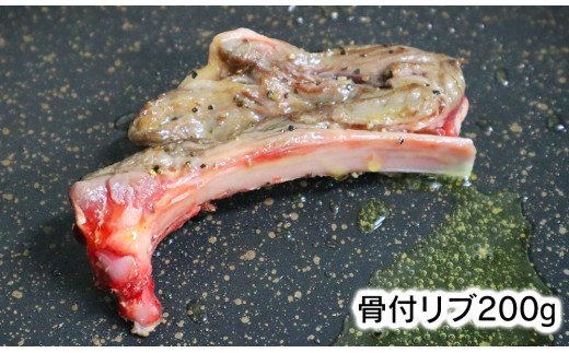 ジビエ革命〜究極のジビエ　鹿肉セット　A509