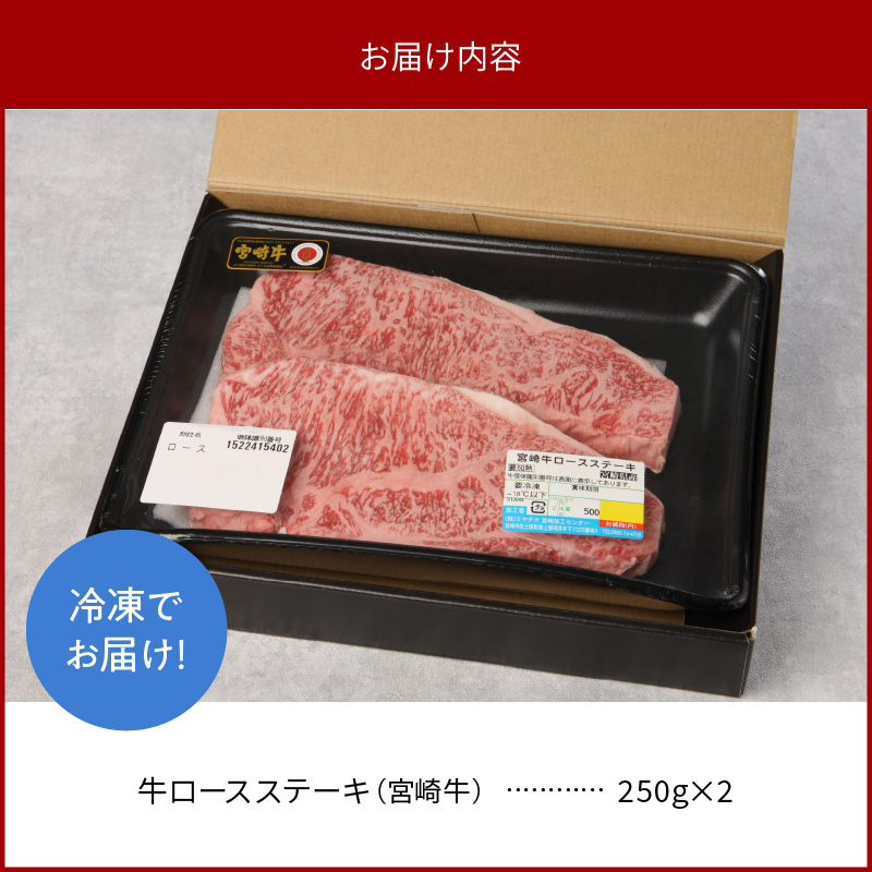 宮崎牛 ロース ステーキ 250g×2 計500g　N0147-YB426