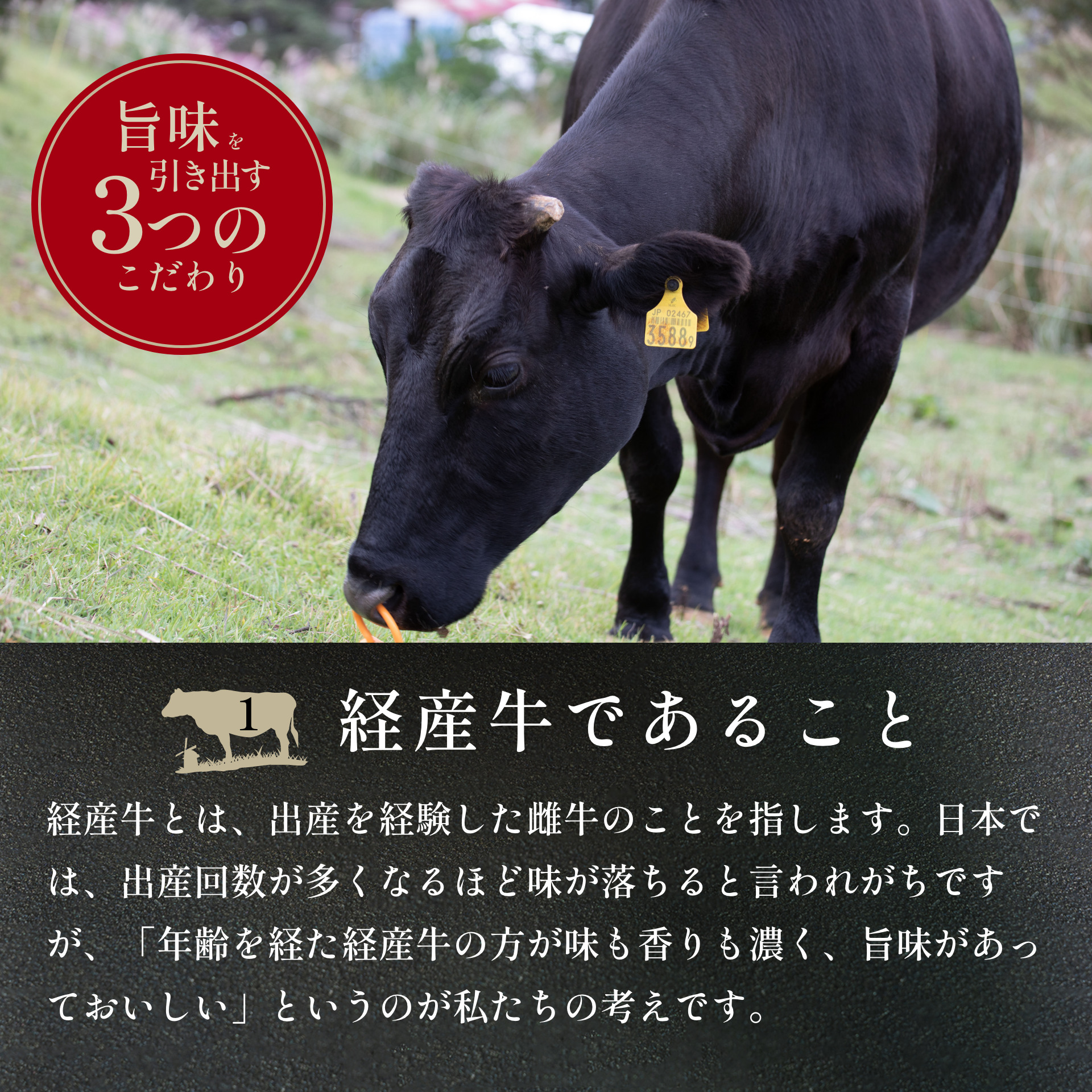 八崎牛のハンバーグ 120g×5個　N0105-A837
