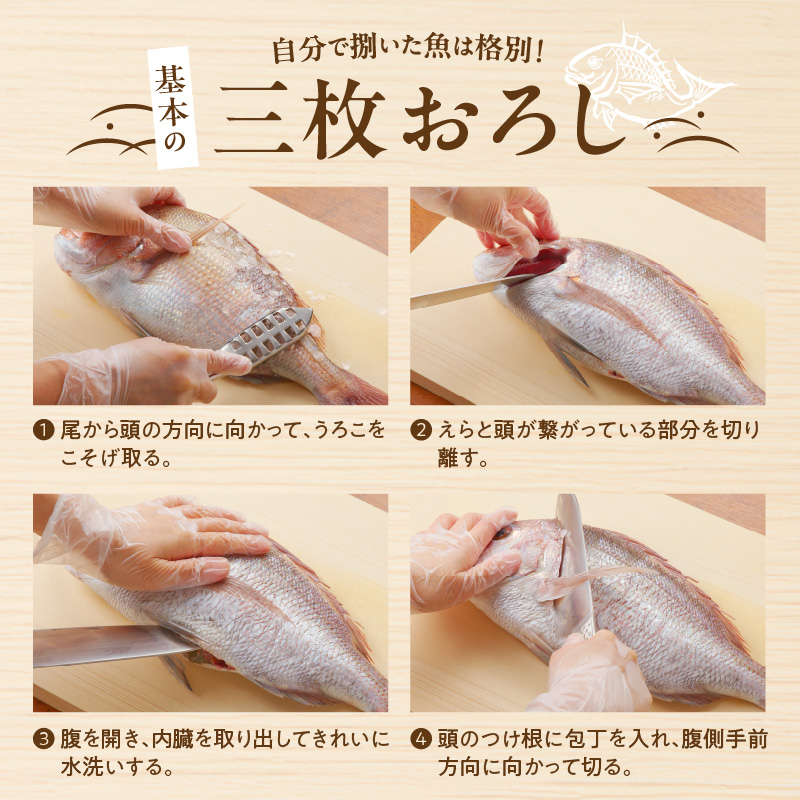 【12ヶ月定期便】大和海商の朝どれ鮮魚直送定期便2.5kg N072-YZG0141